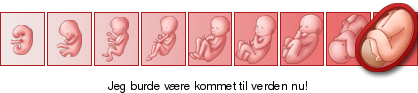 http://graviditet-og-barn.dk/ticker/0c818de636/1350.png http://graviditet-og-barn.dk/ticker/0c818de636/1350.png