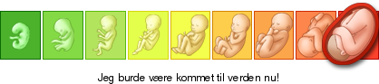 Gratis blog fra Graviditet og barn